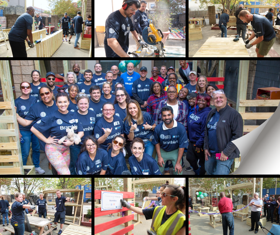 CEDEP Brambles VISUAL